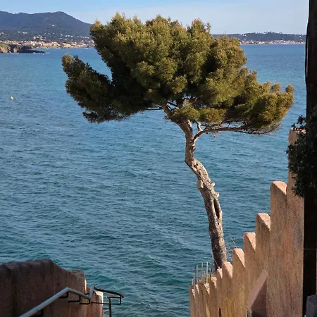 La Perle De Lägenhet Sanary-sur-Mer